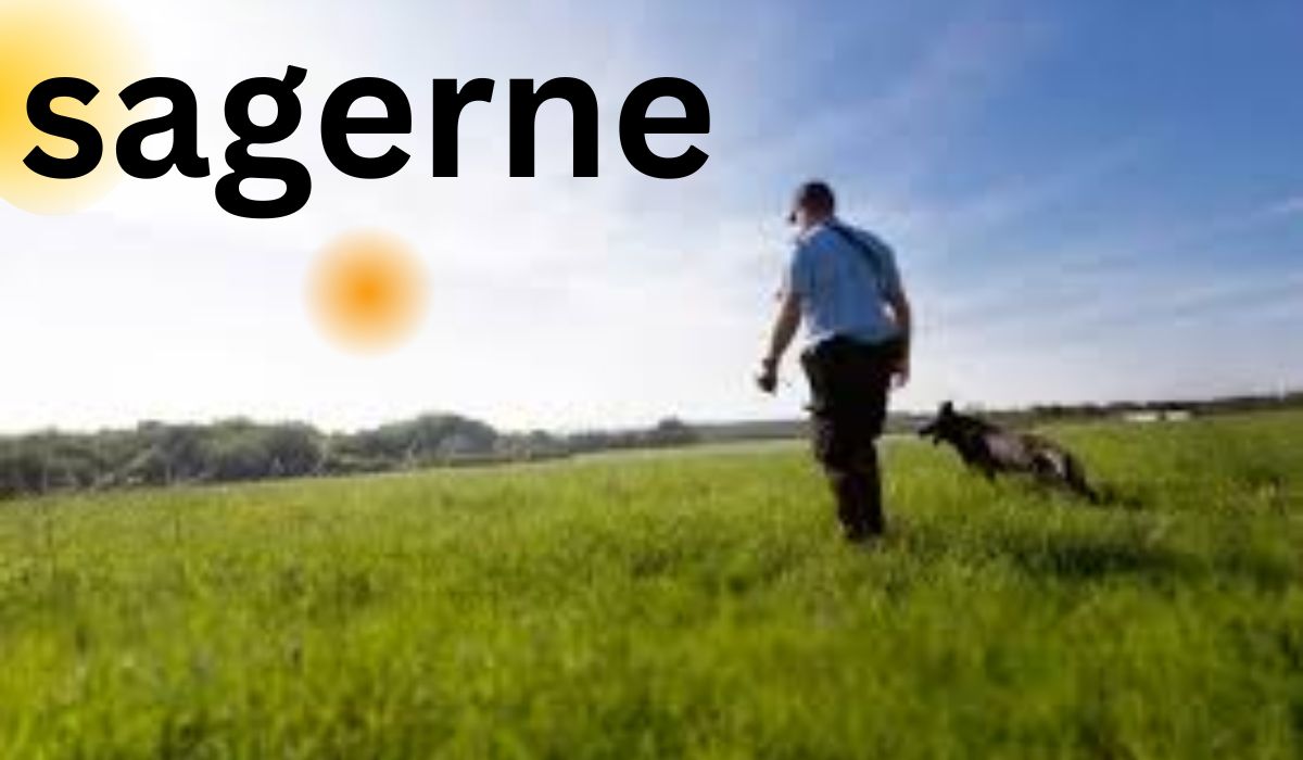 sagerne