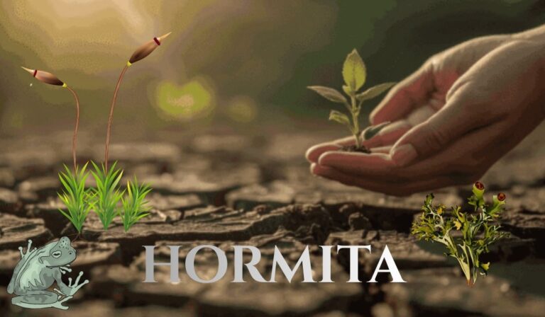 hormita