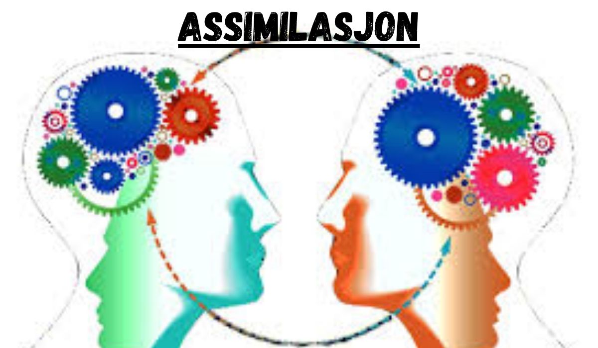 assimilasjon