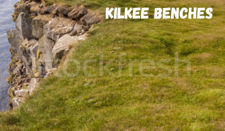kilkee benches