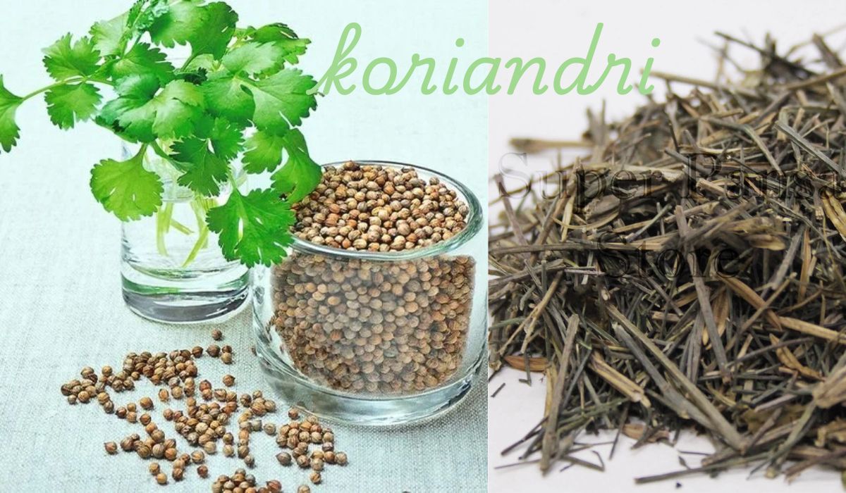 koriandri
