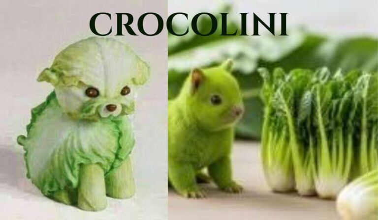 Crocolini Nutrition Facts: Is It Healthy to Eat? crocolini