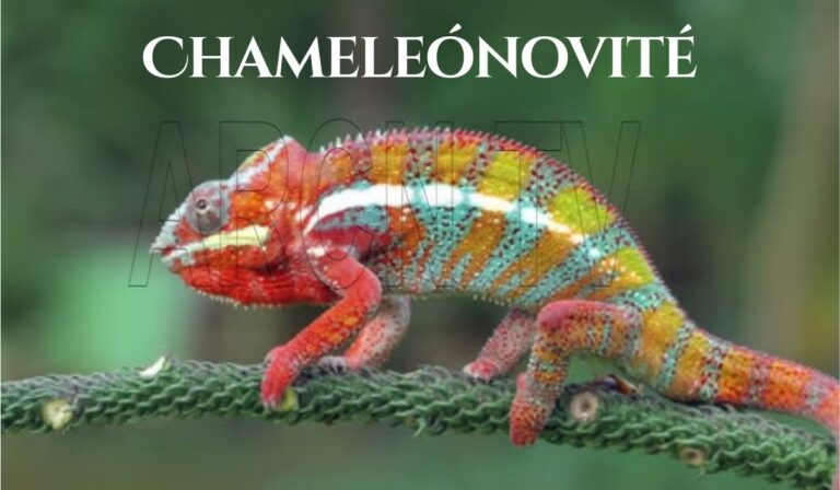 Chameleonovite Discovery and Properties: What Makes It Unique? chameleonovite