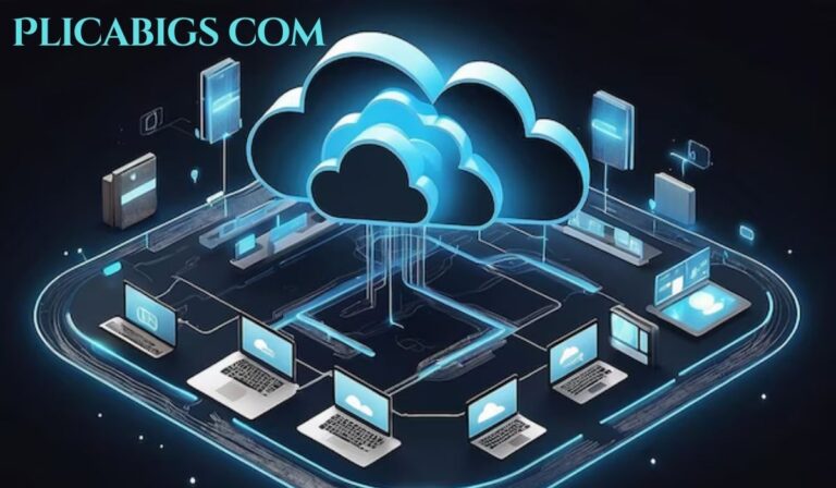 Plicabigs com Overview: Benefits, Risks, and User Experiences Plicabigs com