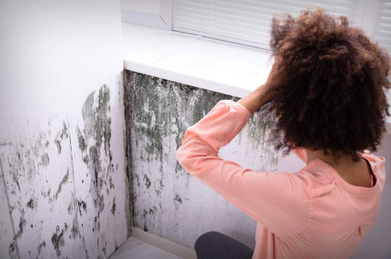 Why Mold Inspection and Testing Are Important for Homes