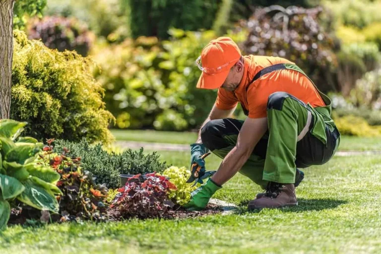North East Landscaping Services